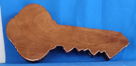 NZ Swamp Kauri Blank 21st Key