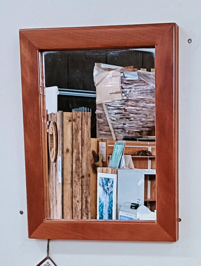 NZ Swamp Kauri Mirror Y33