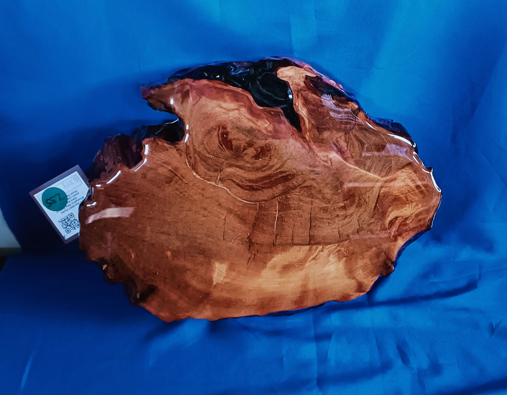 NZ Swamp Kauri Blank Glossy Z35