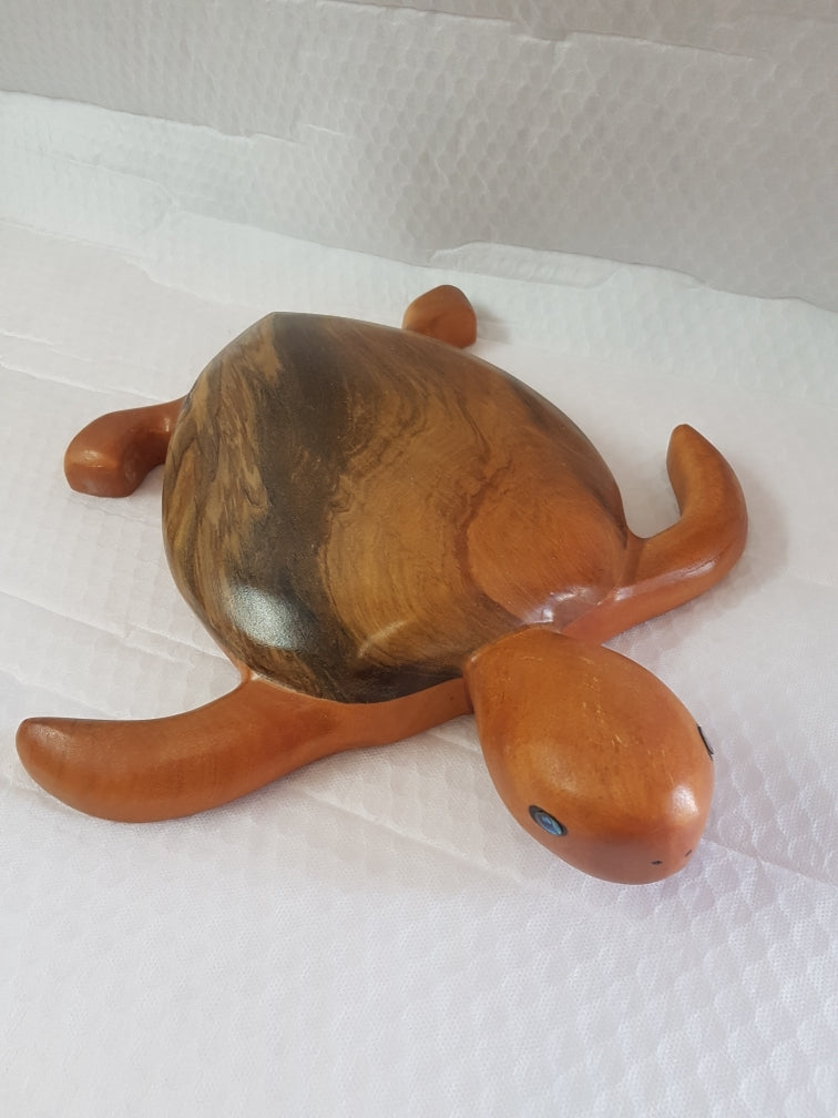 NZ Swamp Kauri Turtle  BB65