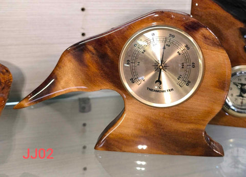 Small Kiwi Thermometer - JJ02