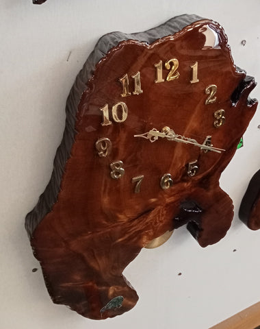 A large pendulum with Paua Kiwi